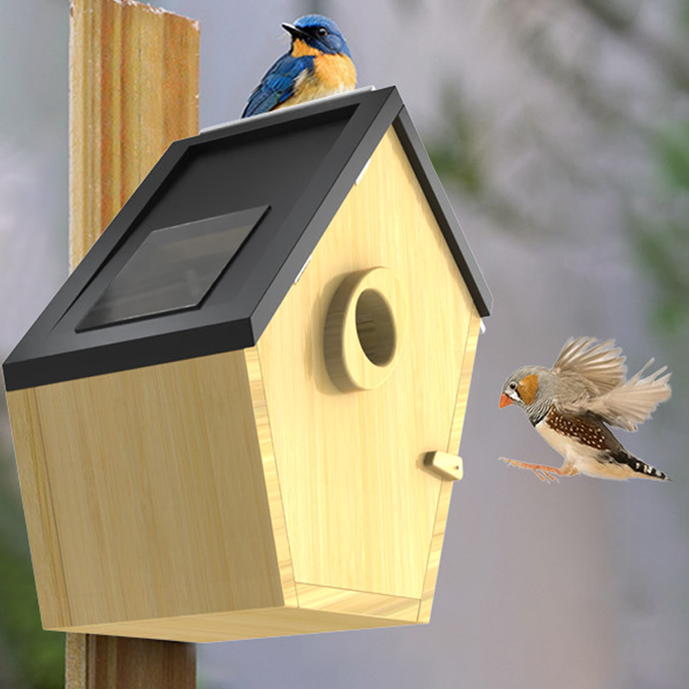 Smart Garden Ai - Modern New Trend AI Recognition Bird