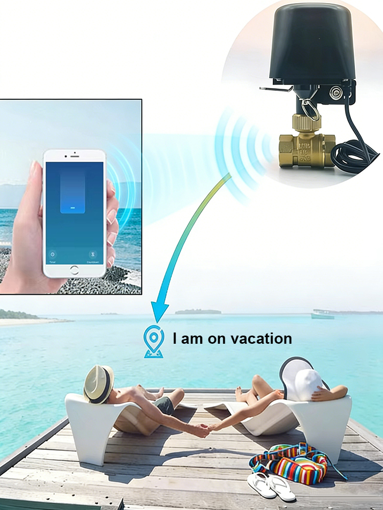 Tuya Smart Water Valve​ DN15/D - Smart Garden Home Assistant recensione e prezzo