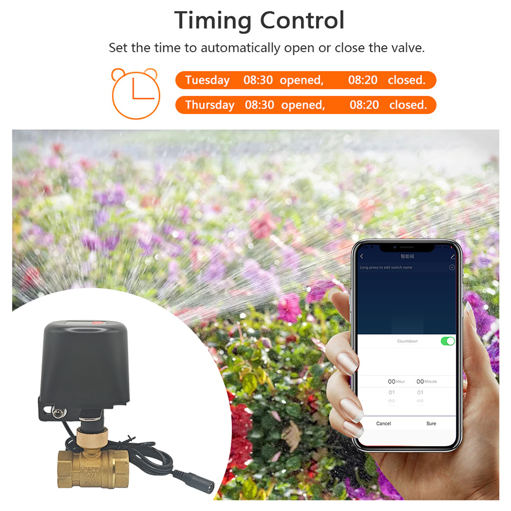 Tuya Smart Water Valve​ DN15/D - Smart Garden Home Assistant recensione e prezzo