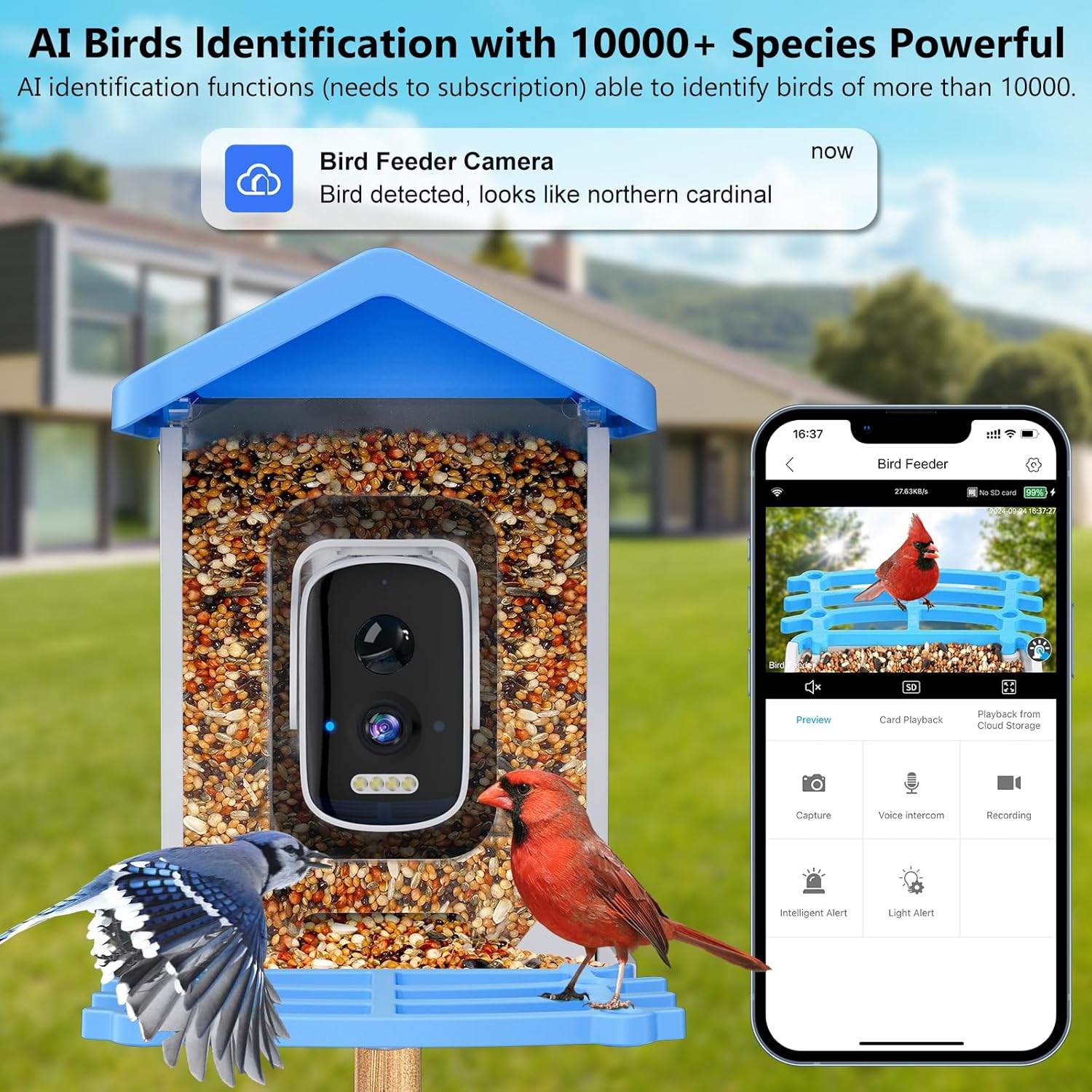 Smart Bird Feeder with Camera  - Smart Garden Ai recensione e prezzo