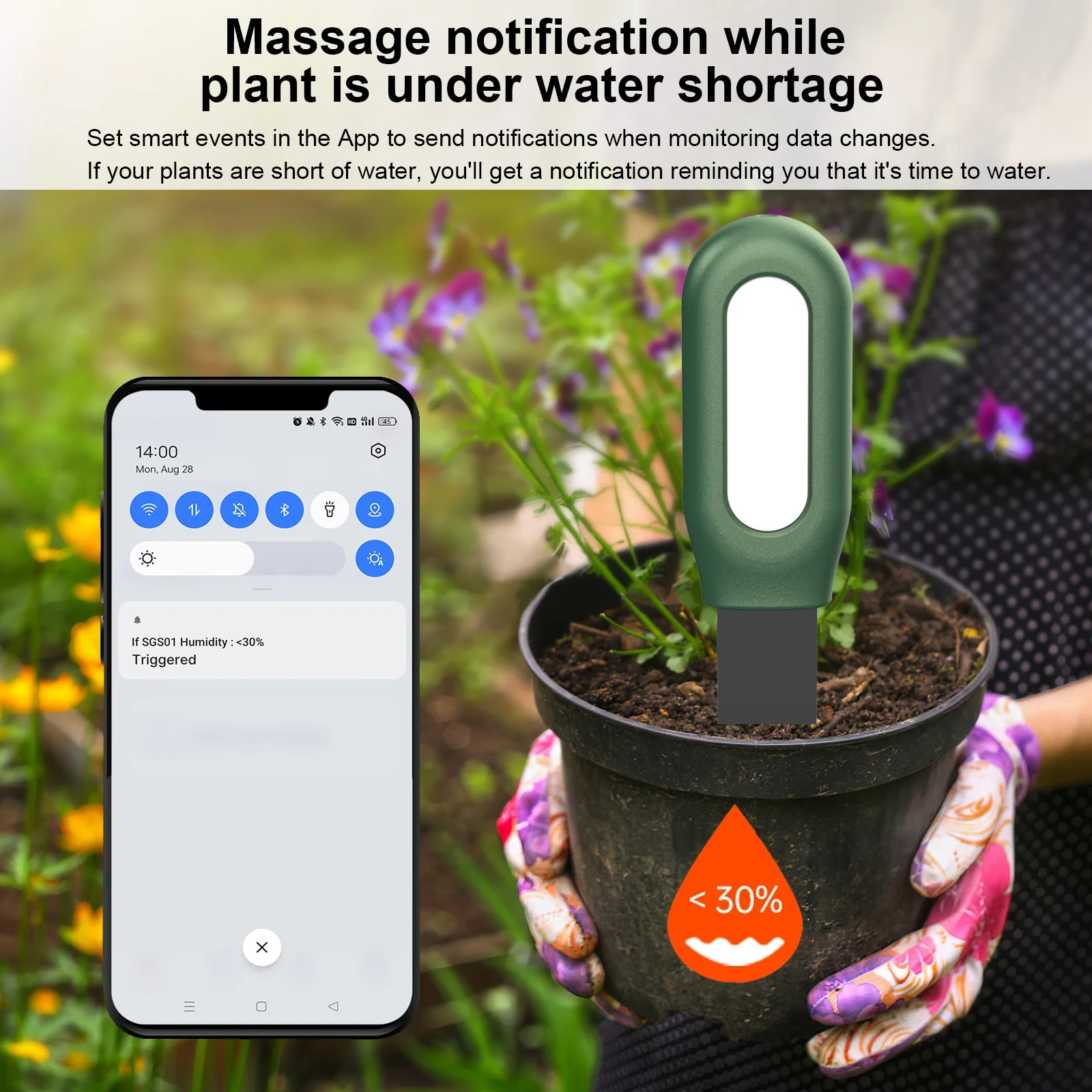Haozee Tuya Zigbee Soil Sensor - Smart Garden Home Assistant recensione e prezzo
