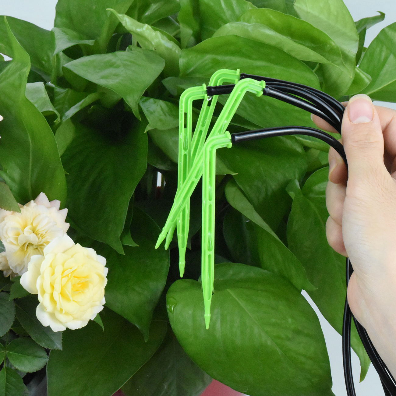 KESLA Garden 4/7mm to 3/5mm Ho - Smart Garden Project recensione e prezzo