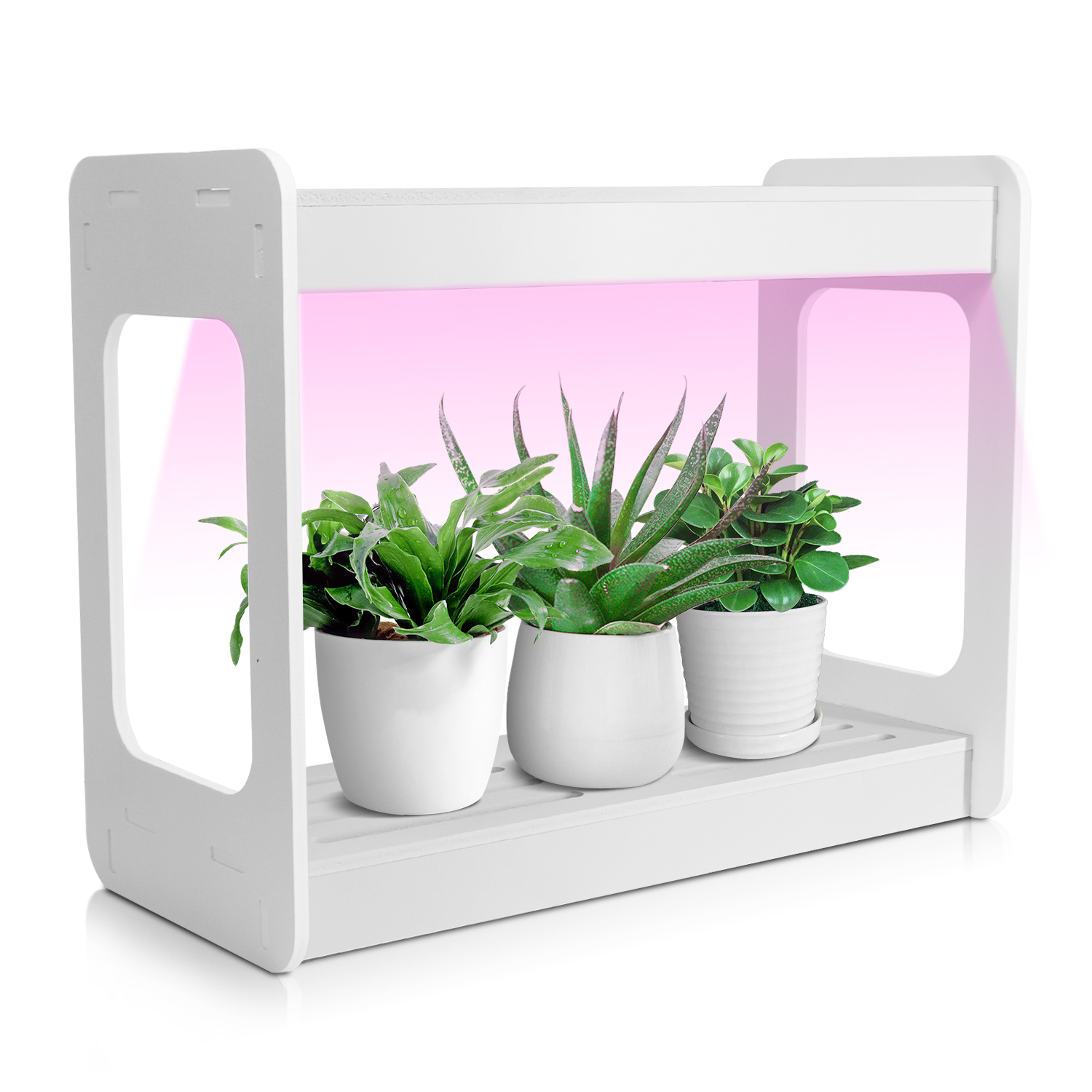 Smart Mini LED Grow Light Syst - Smart Garden In Home recensione e prezzo