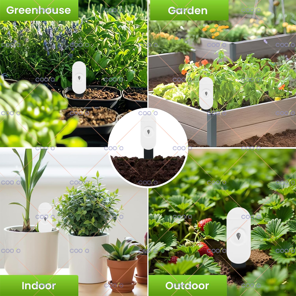 Zigbee Smart Soil Tester Humid - Smart Garden Home Assistant recensione e prezzo