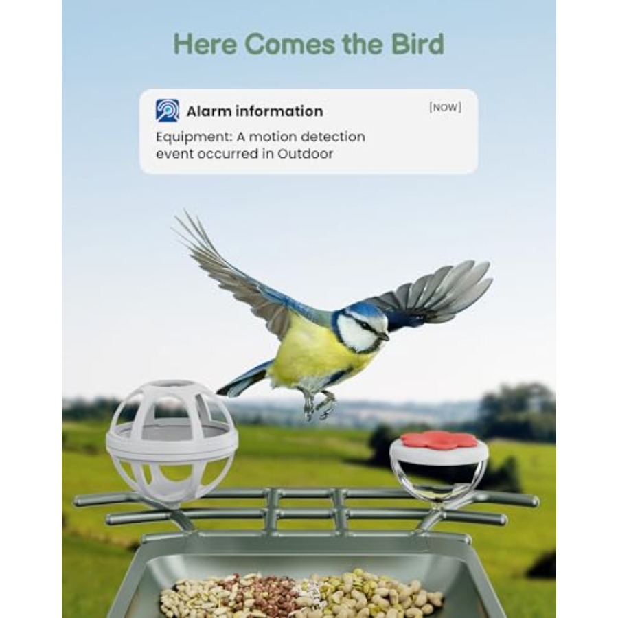 Smart Bird Feeder with Camera  - Smart Garden Ai recensione e prezzo