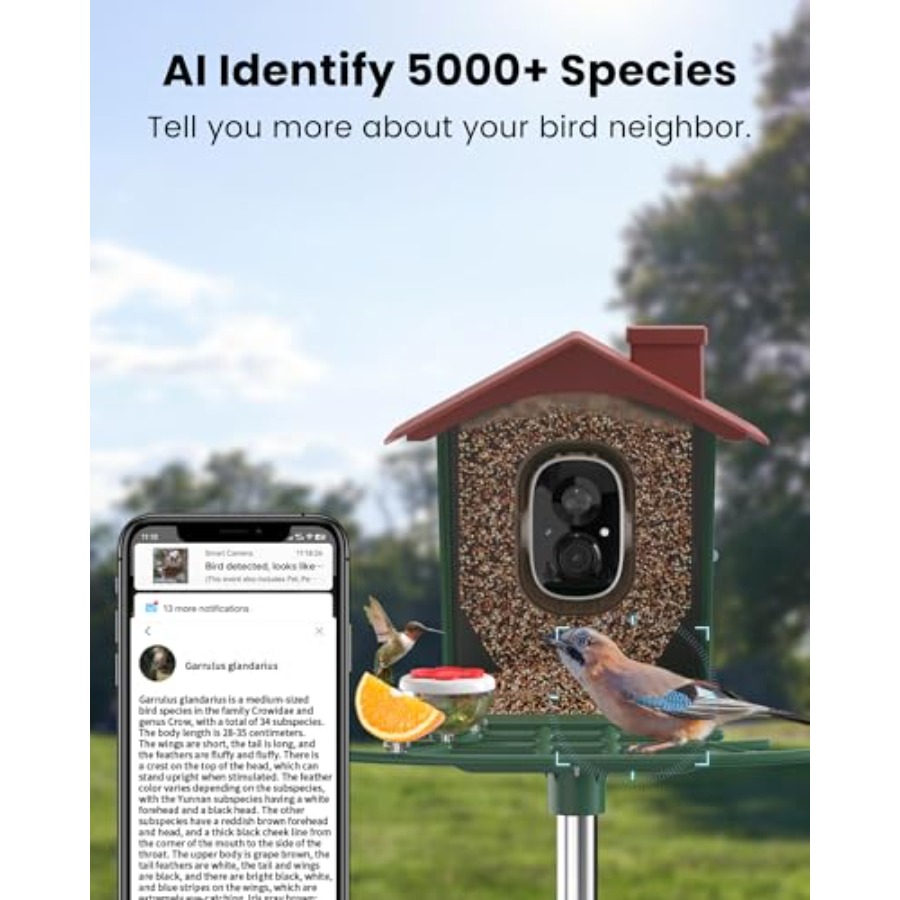 Smart Bird Feeder with Camera  - Smart Garden Ai recensione e prezzo