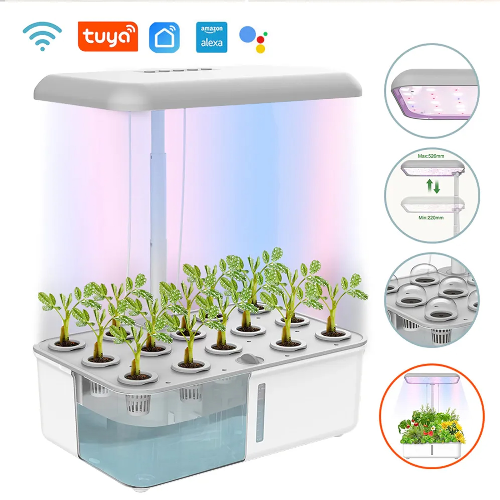 Tuya WiFi Plant Hydroponics Sy - Smart Garden Iot recensione e prezzo