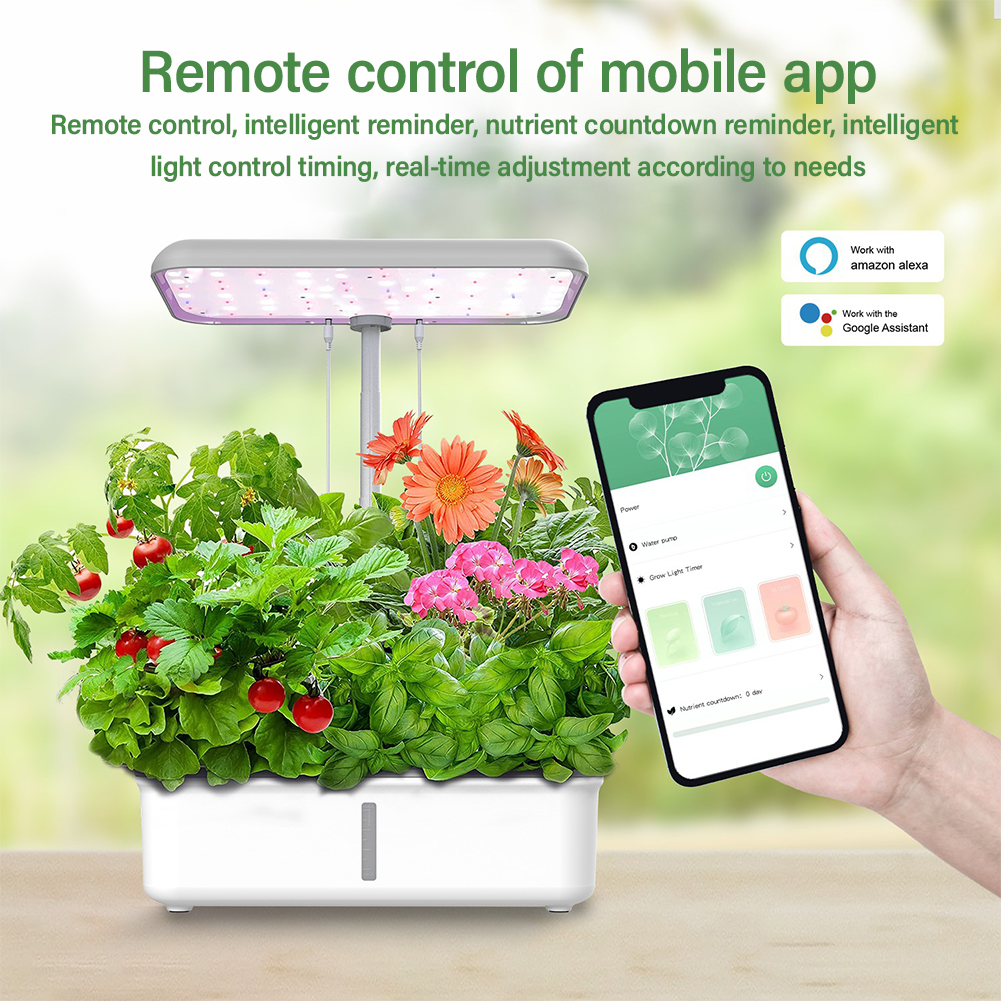 Tuya WiFi Plant Hydroponics Sy - Smart Garden Iot recensione e prezzo