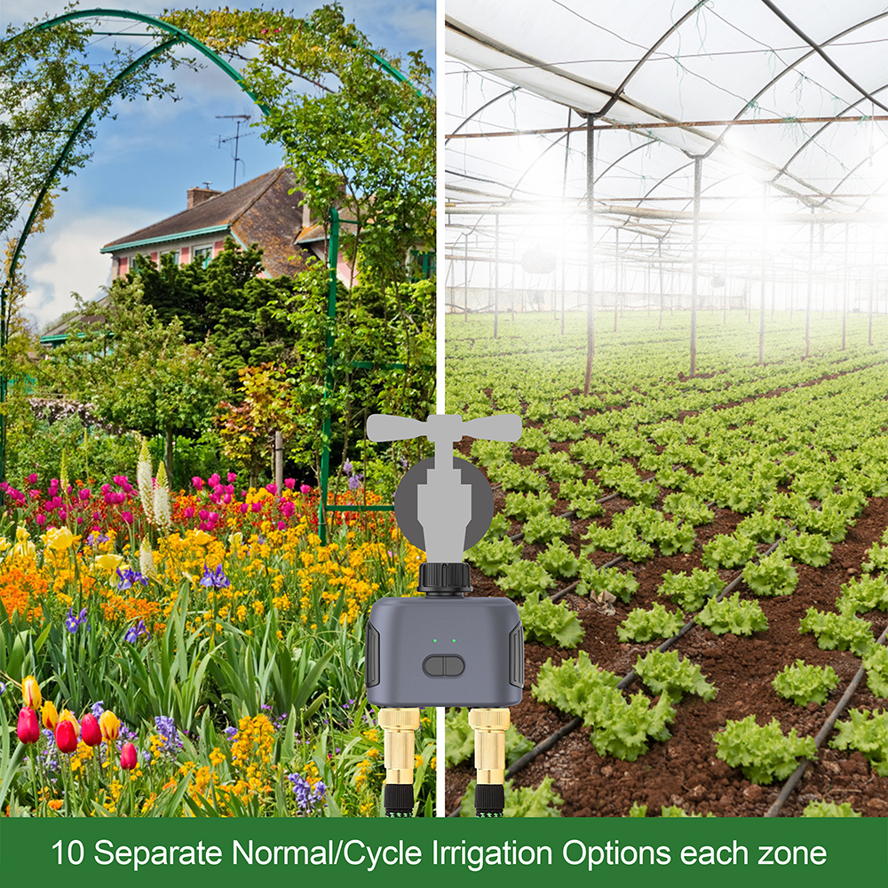 Tuya Zigbee/Bluetooth Water Ti - Smart Garden Iot recensione e prezzo