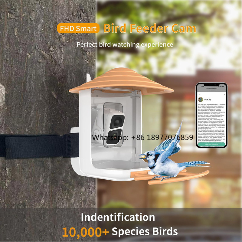 2026 2L IP66 AI Smart Bird Fee - Smart Garden Ai recensione e prezzo