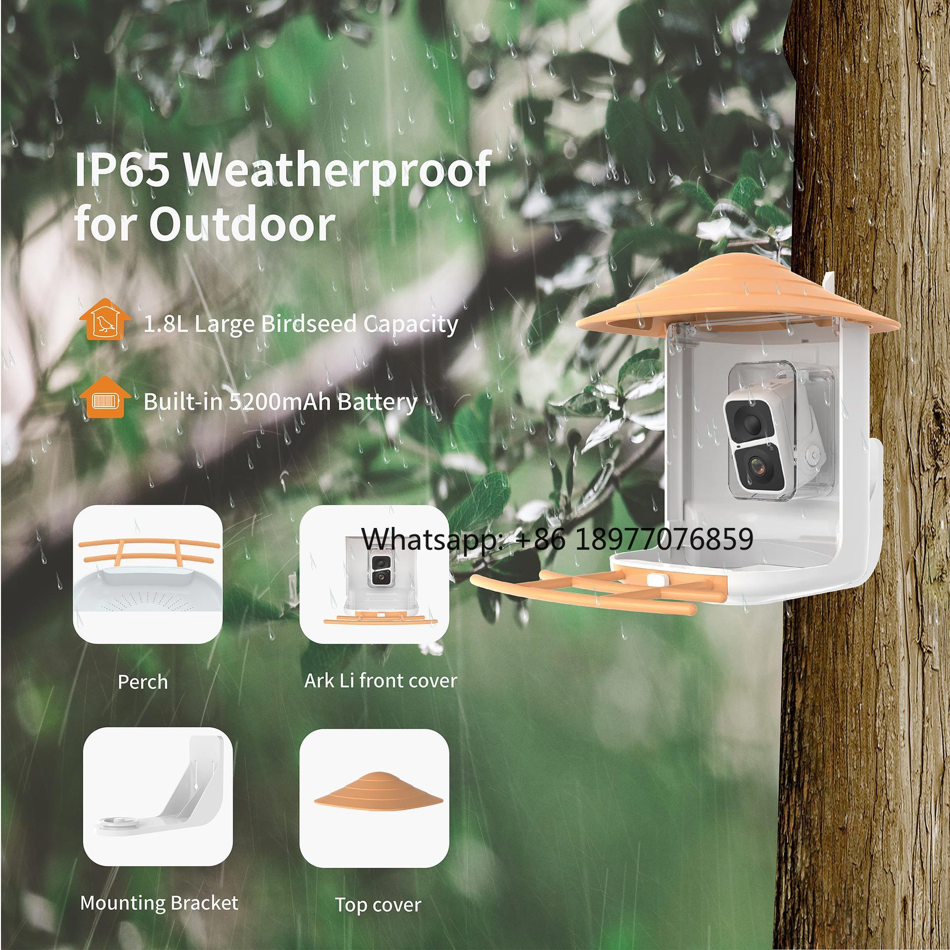 2026 2L IP66 AI Smart Bird Fee - Smart Garden Ai recensione e prezzo