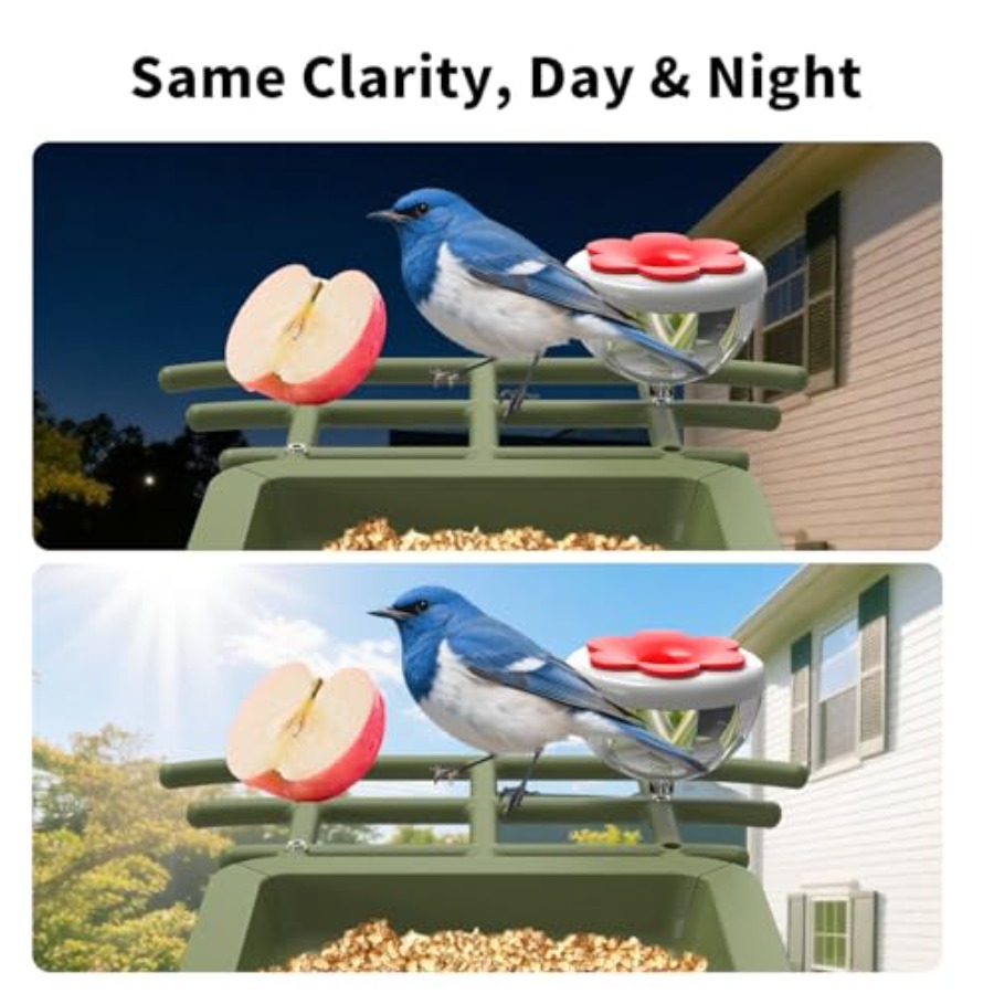 Outdoor garden birdwatching sm - Smart Garden Ai recensione e prezzo