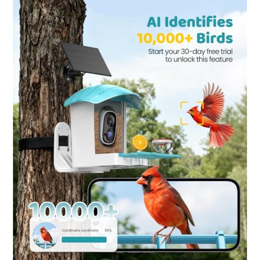 Bird Feeder with Camera Solar  - Smart Garden Ai recensione e prezzo