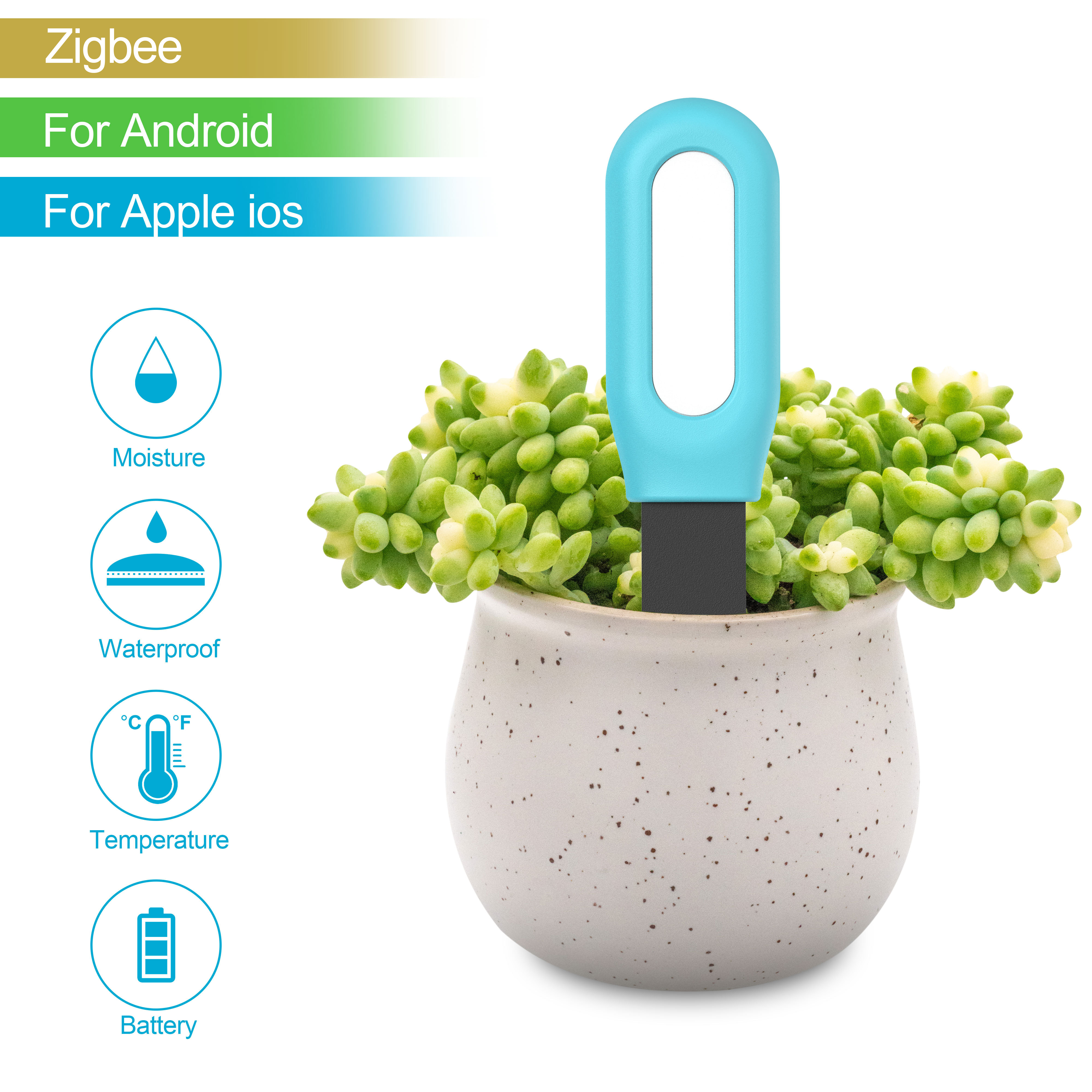 Tuya Smart Zigbee Soil Tester  - Smart Garden Home Assistant recensione e prezzo