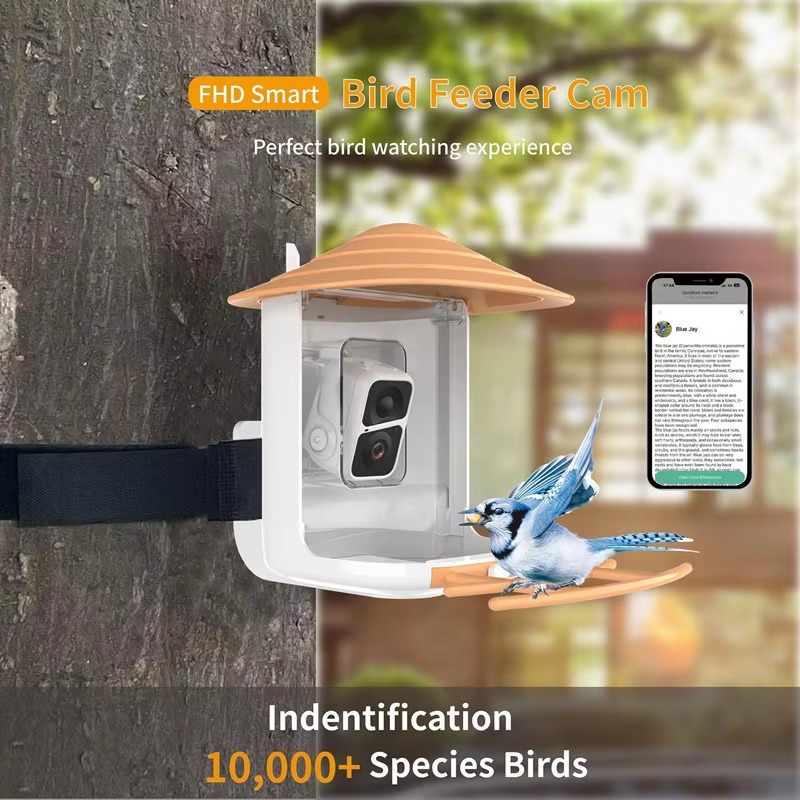 2L IP66 AI Smart Bird Feeder w - Smart Garden Ai recensione e prezzo