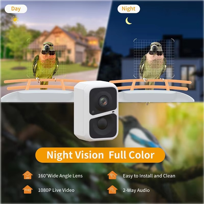 2L IP66 AI Smart Bird Feeder w - Smart Garden Ai recensione e prezzo