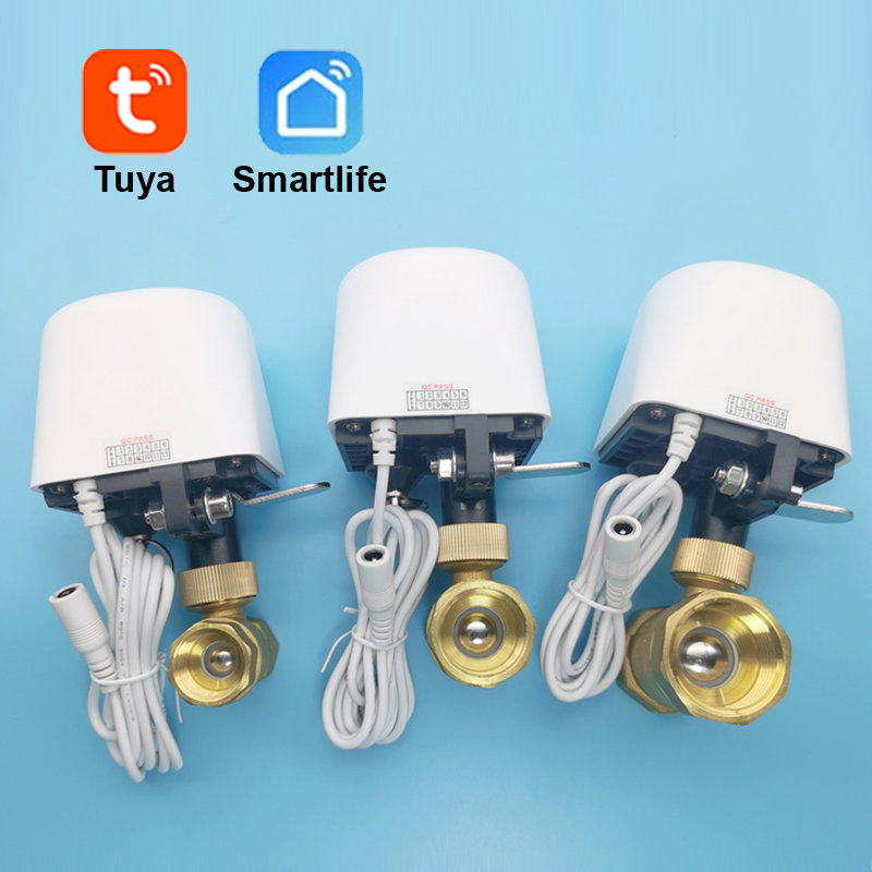 Smart Tuya WiFi Zigbee Water V - Smart Garden Home Assistant recensione e prezzo