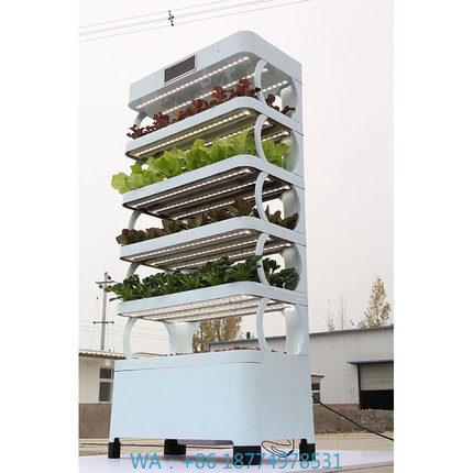 arming Home Hydroponic Growing - Smart Garden In Home recensione e prezzo