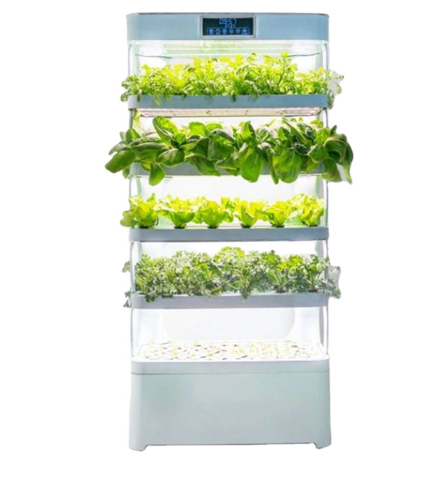 arming Home Hydroponic Growing - Smart Garden In Home recensione e prezzo