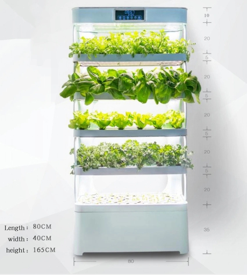 arming Home Hydroponic Growing - Smart Garden In Home recensione e prezzo