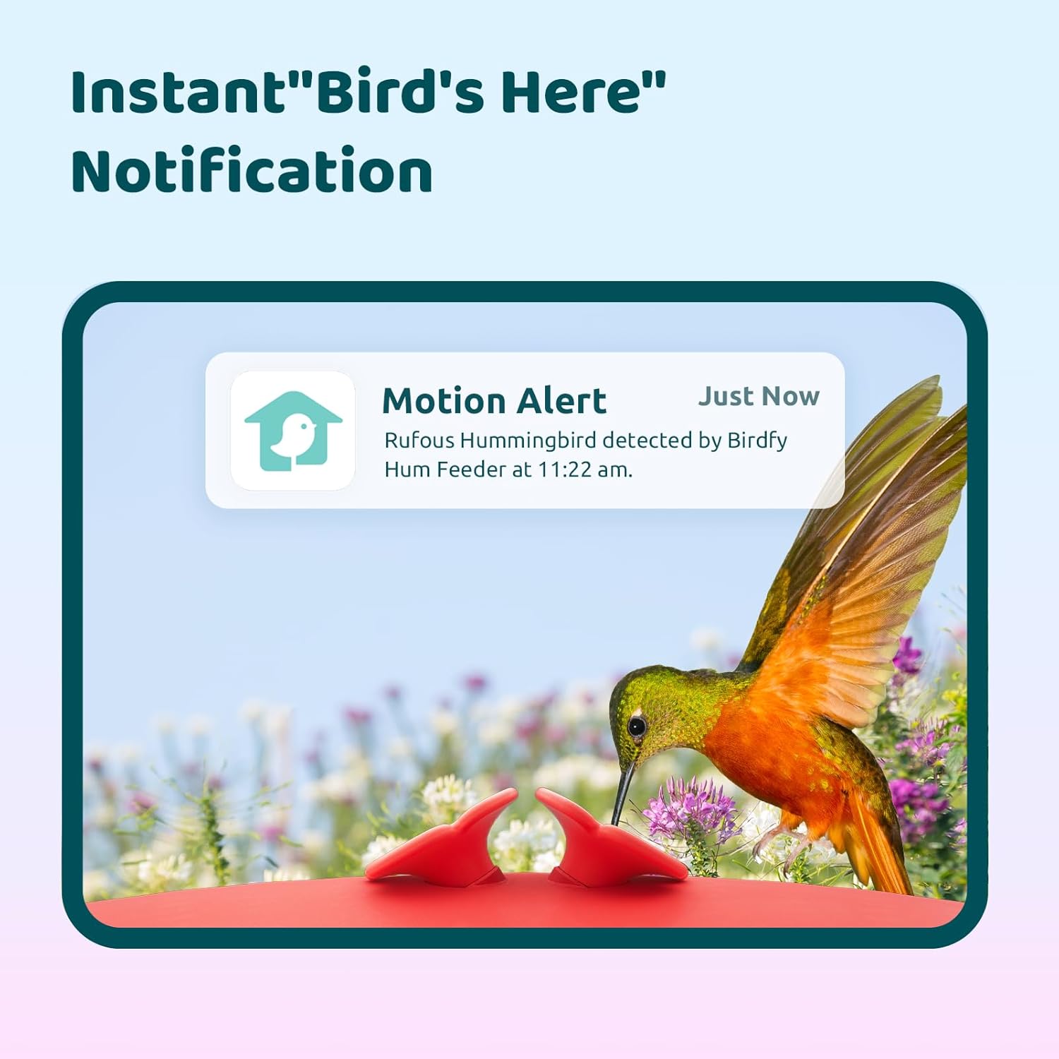 Smart Hummingbird Feeder with  - Smart Garden Ai recensione e prezzo