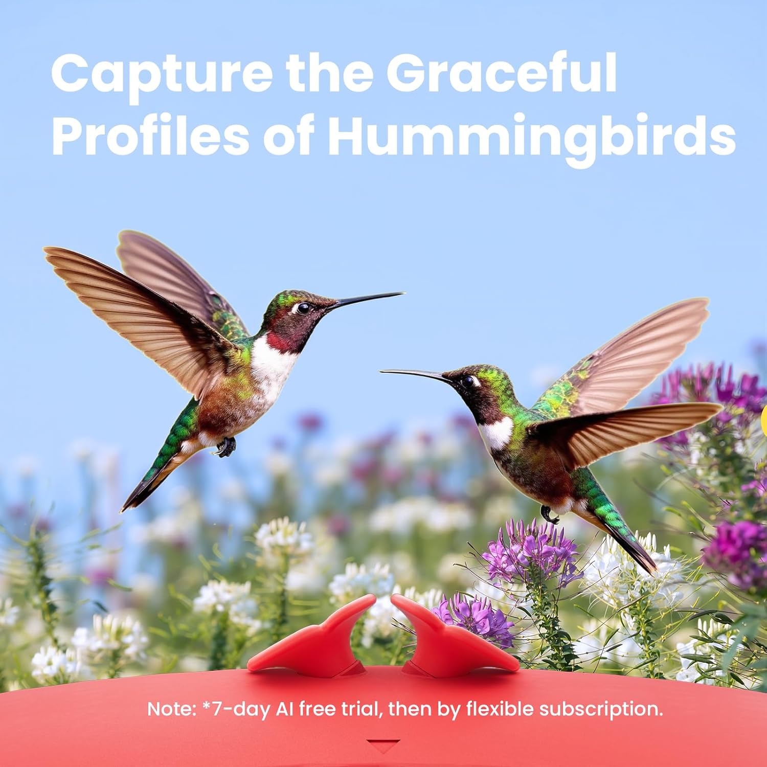 Smart Hummingbird Feeder with  - Smart Garden Ai recensione e prezzo