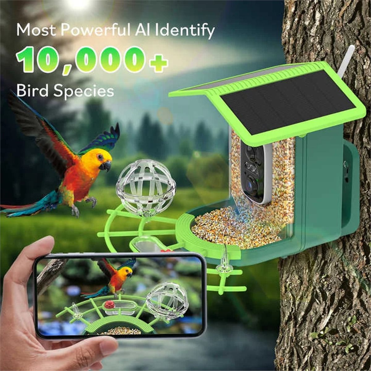 ABPP Smart Bird Feeder Camera  - Smart Garden Ai recensione e prezzo