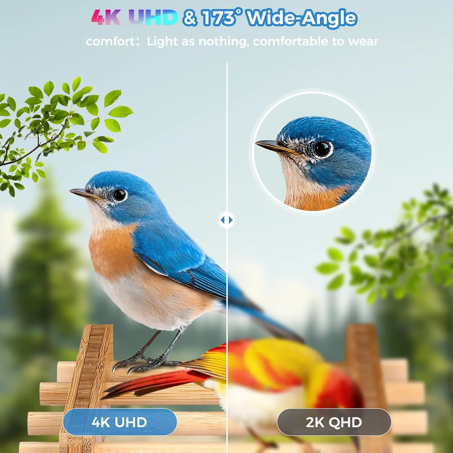 Smart Bird Feeder 4K Camera AI - Smart Garden Ai recensione e prezzo