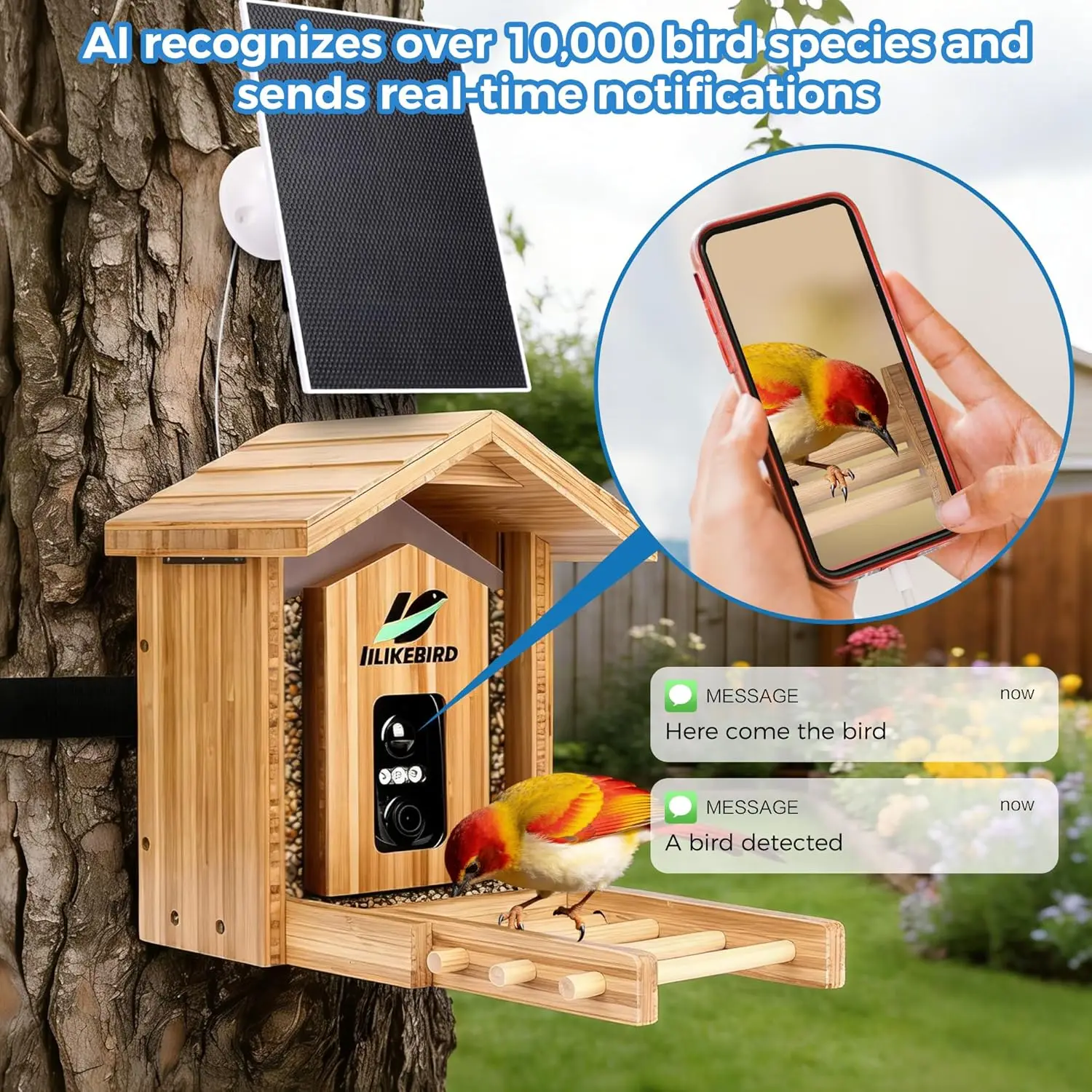 Smart Bird Feeder 4K Camera AI - Smart Garden Ai recensione e prezzo