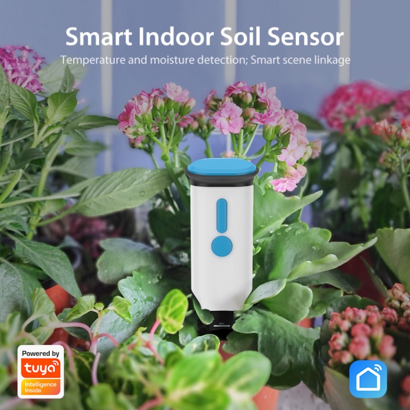Tuya Smart Bluetooth WIFI Soil - Smart Garden Water recensione e prezzo
