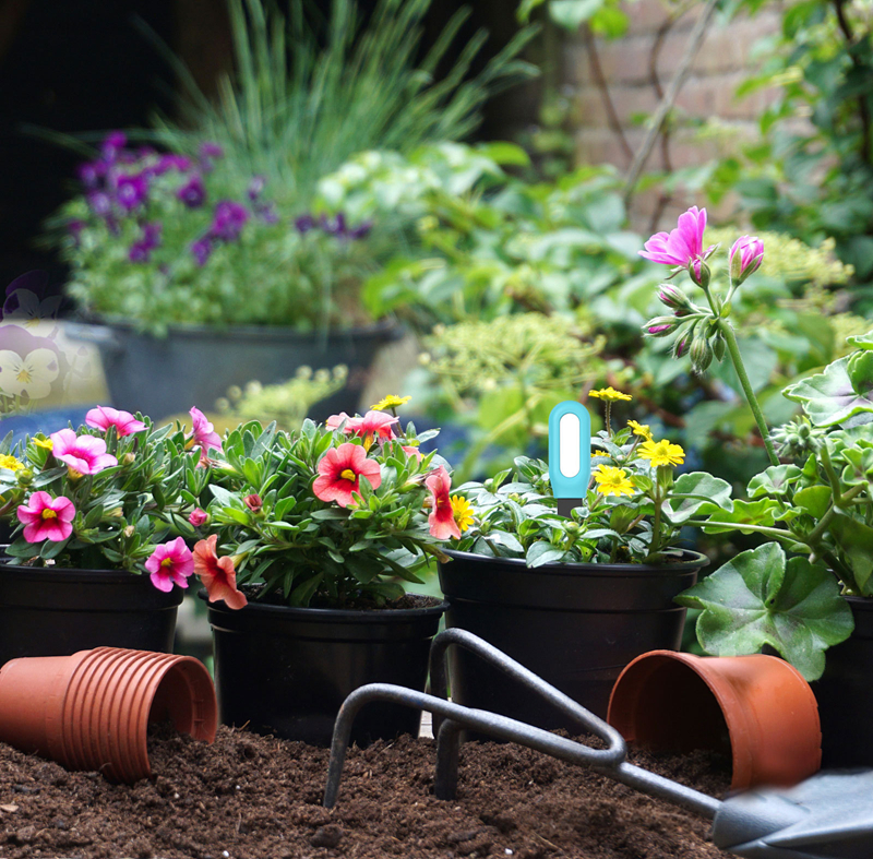 New Upgrade Soil Sensor Humidi - Smart Garden Home Assistant recensione e prezzo