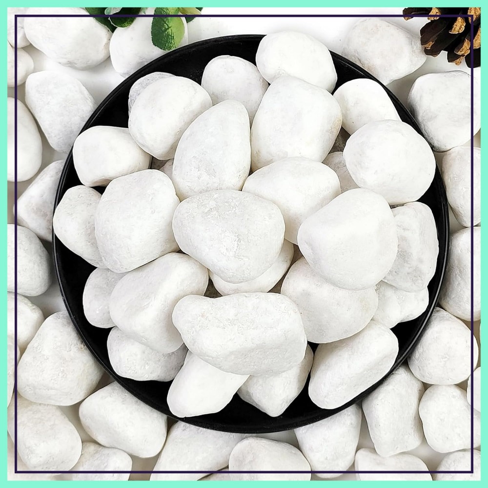 1-2 Inch White Pebbles for Ind - Smart Garden In Home recensione e prezzo