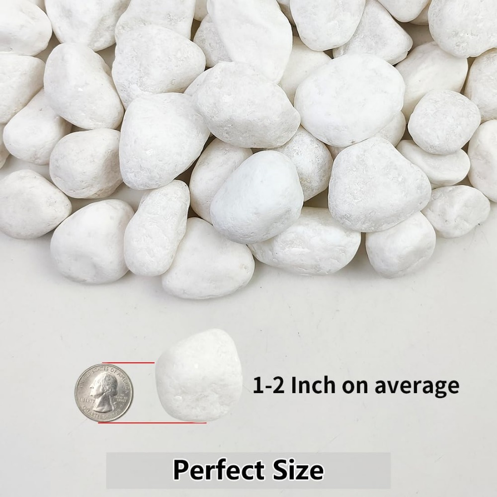 1-2 Inch White Pebbles for Ind - Smart Garden In Home recensione e prezzo