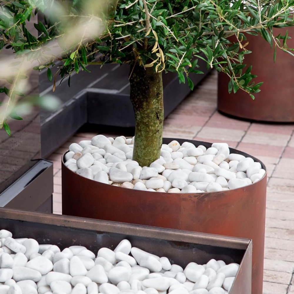 1-2 Inch White Pebbles for Ind - Smart Garden In Home recensione e prezzo