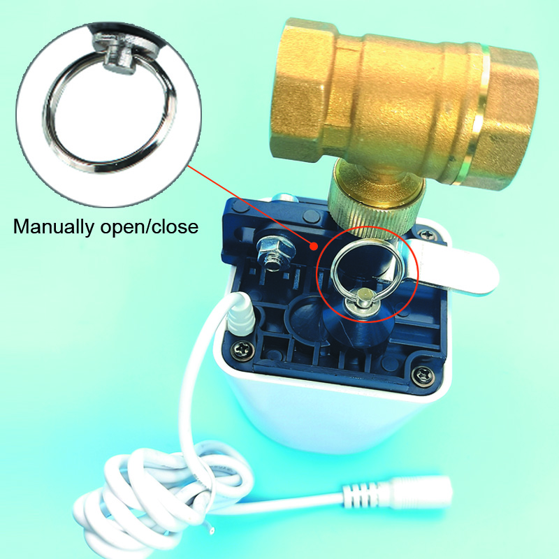 Tuya Wifi Zigbee Water Valve G - Smart Garden Home Assistant recensione e prezzo
