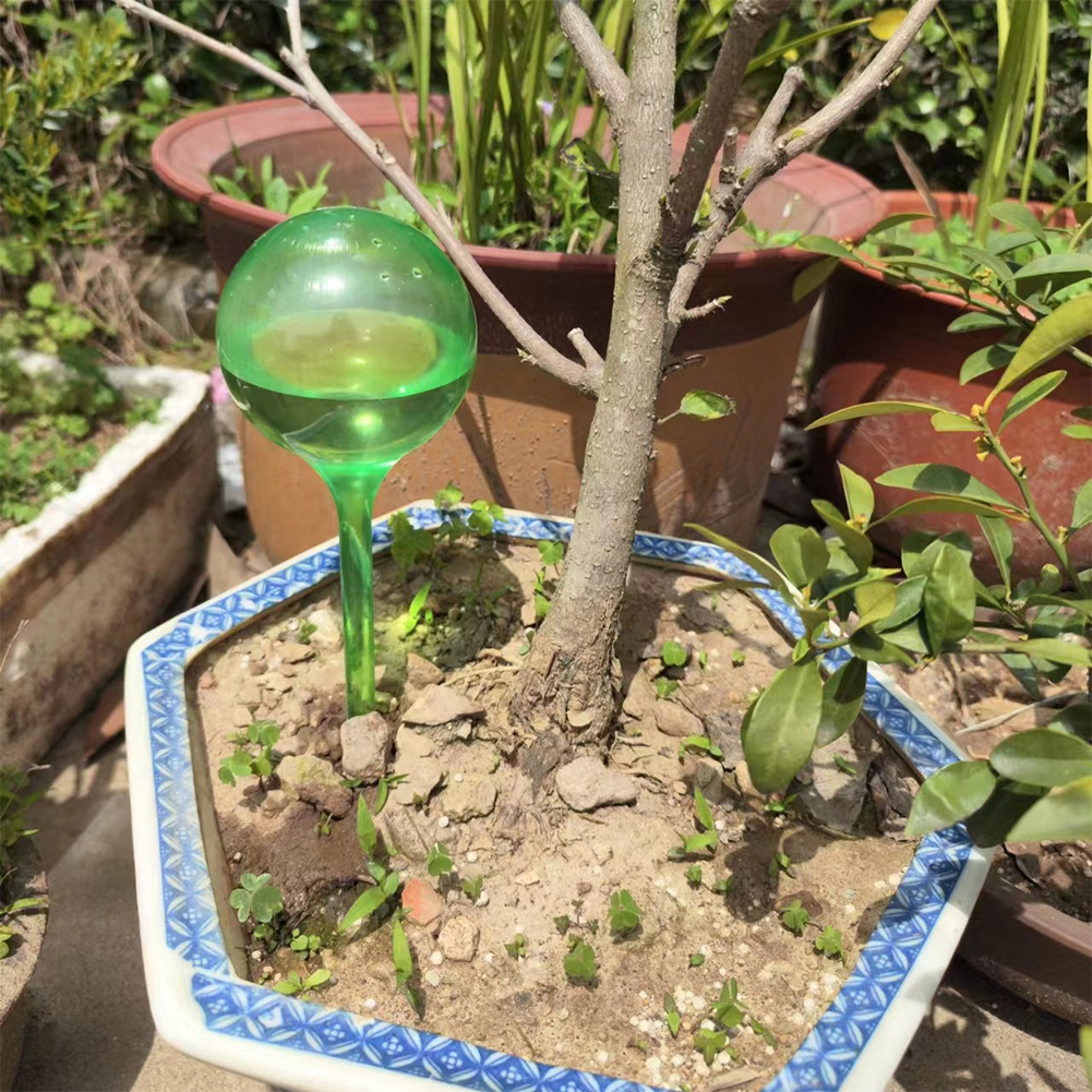 Automatic Plant Watering Bulbs - Smart Garden Project recensione e prezzo