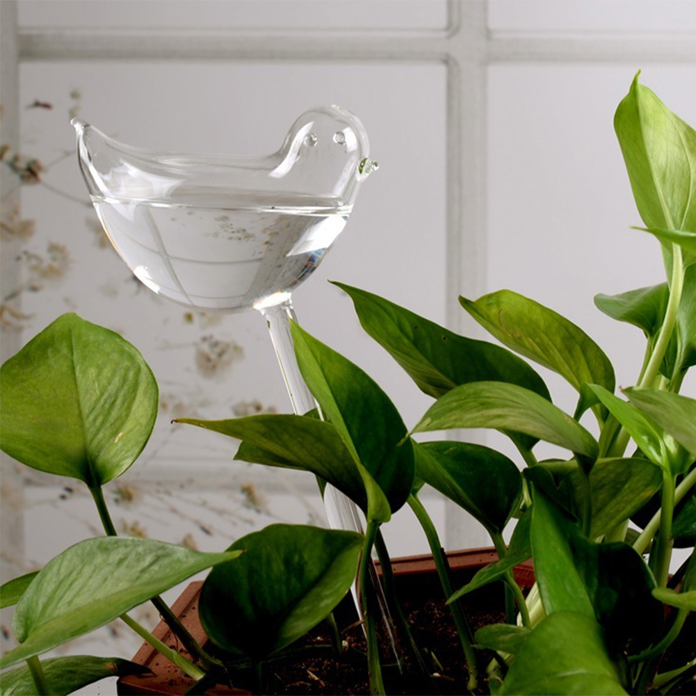 Automatic Plant Watering Bulbs - Smart Garden Project recensione e prezzo