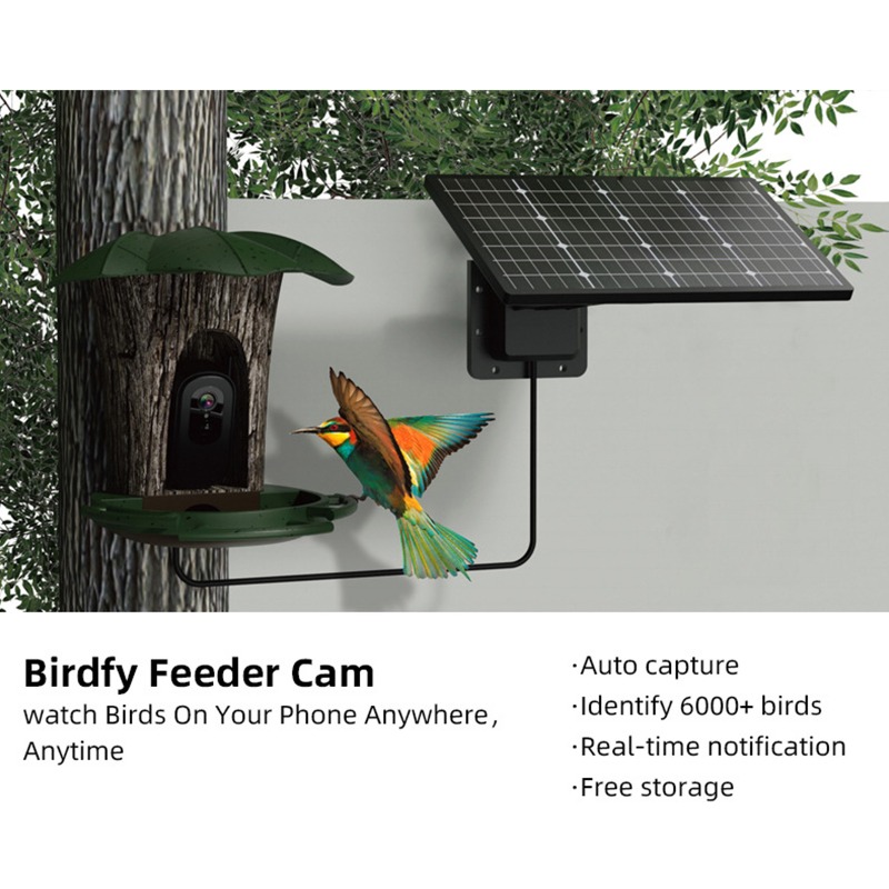 Solar AI Smart Bird Feeder Bir - Smart Garden Ai recensione e prezzo