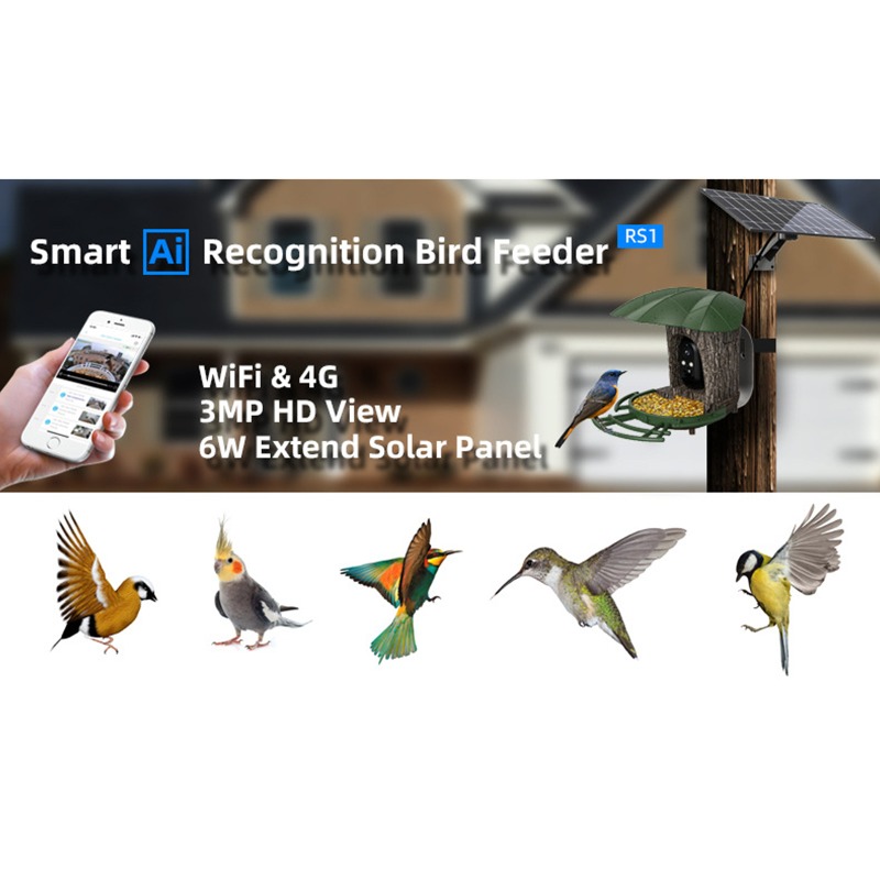 Solar AI Smart Bird Feeder Bir - Smart Garden Ai recensione e prezzo