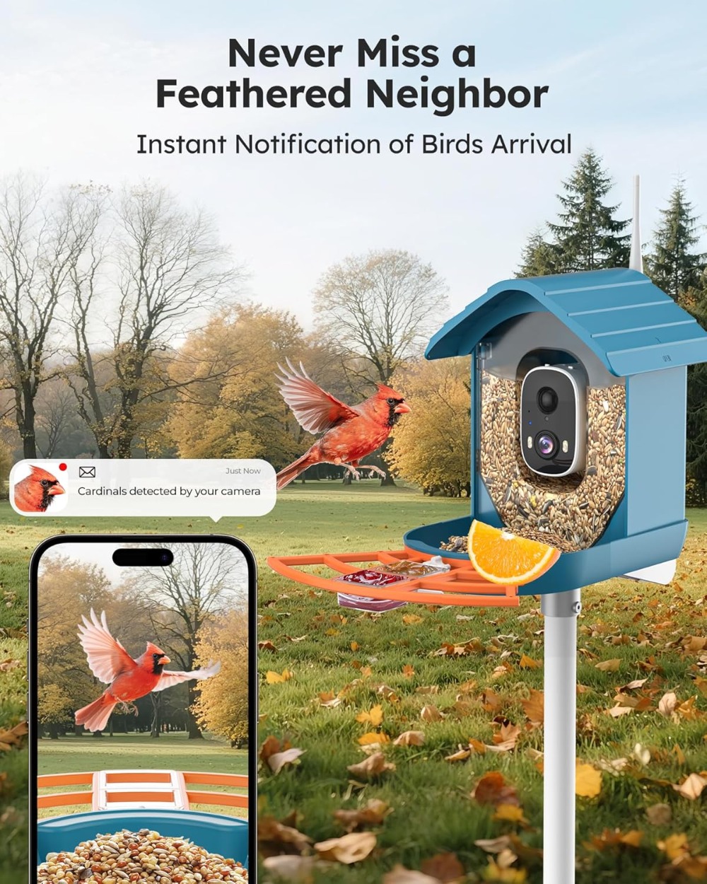 Smart Bird Feeder with Camera  - Smart Garden Ai recensione e prezzo