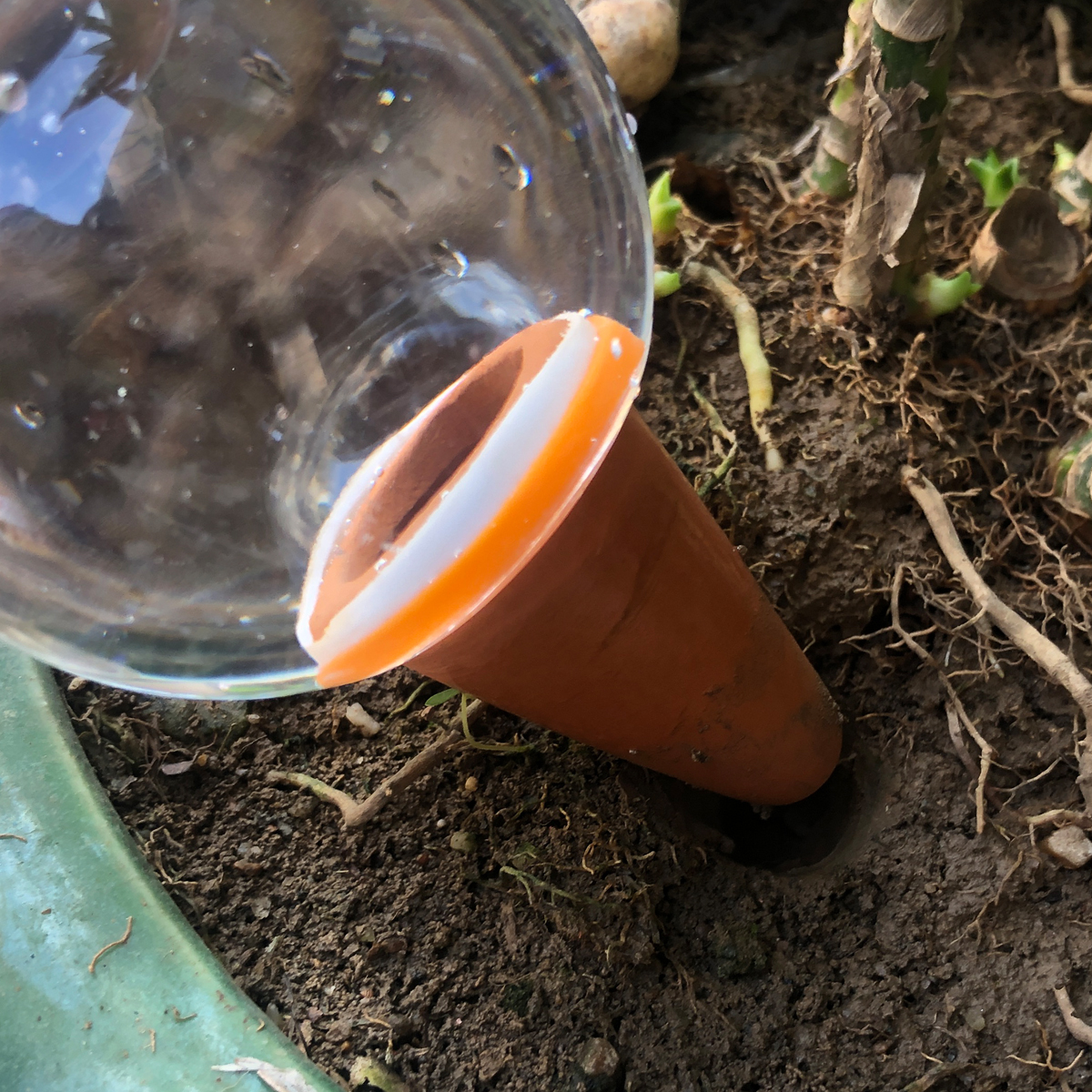 2 Pcs Automatic Plant Watering - Smart Garden Project recensione e prezzo
