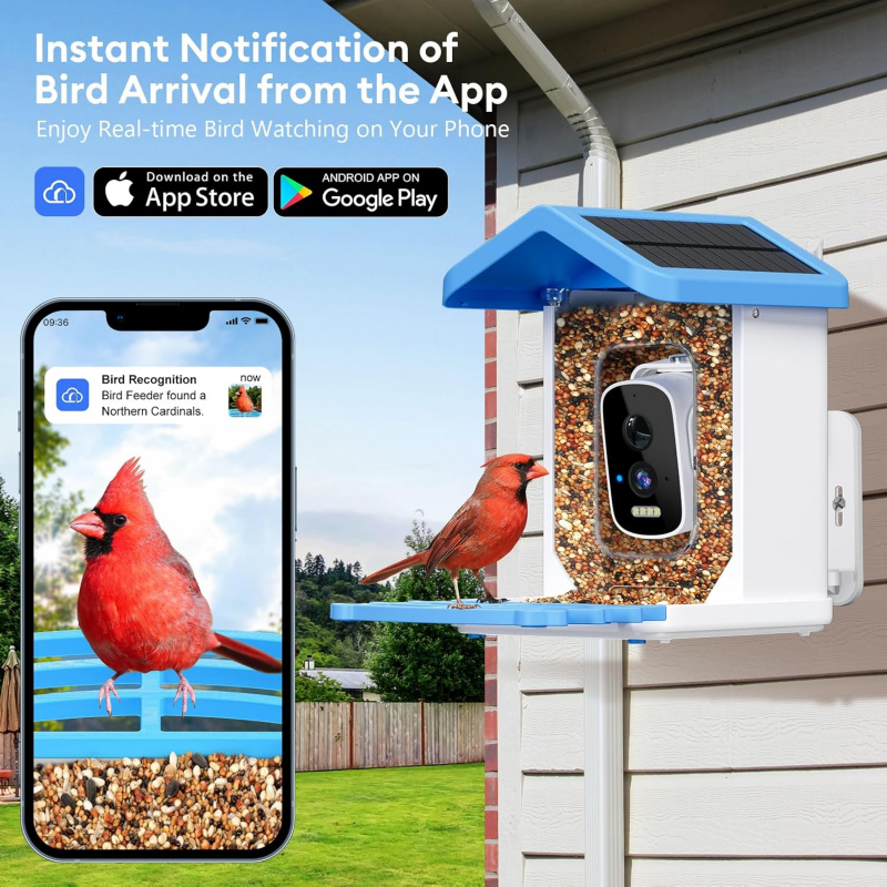 WiFi Smart Bird Feeder with Ca - Smart Garden Ai recensione e prezzo