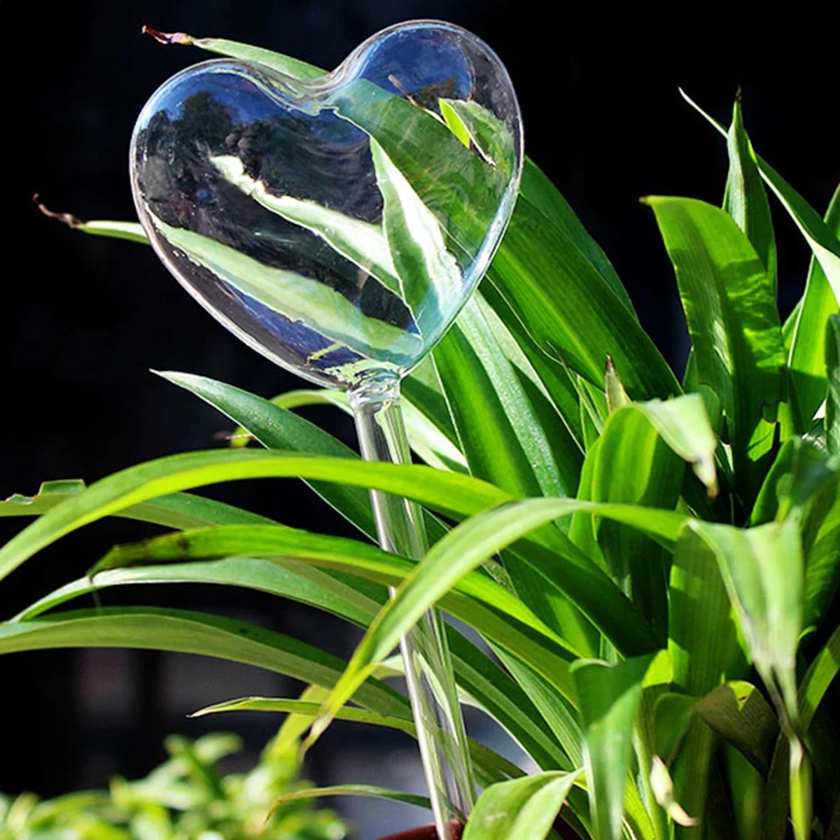 1pc Automatic Plant Watering B - Smart Garden Project recensione e prezzo