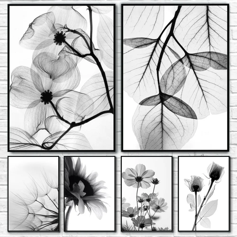 Monochrome Garden Blooms Silen - Smart Garden In Home recensione e prezzo