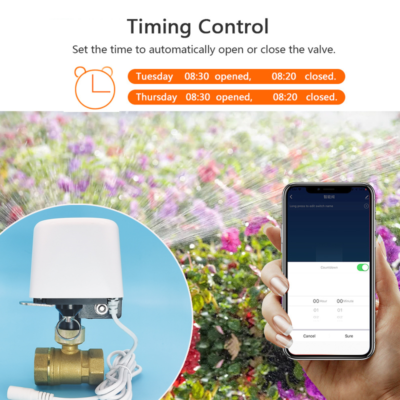 Wifi  Zigbee Tuya Water Valve  - Smart Garden Home Assistant recensione e prezzo