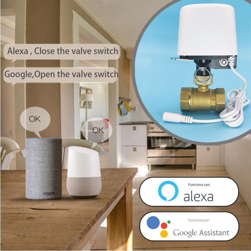 Wifi  Zigbee Tuya Water Valve  - Smart Garden Home Assistant recensione e prezzo