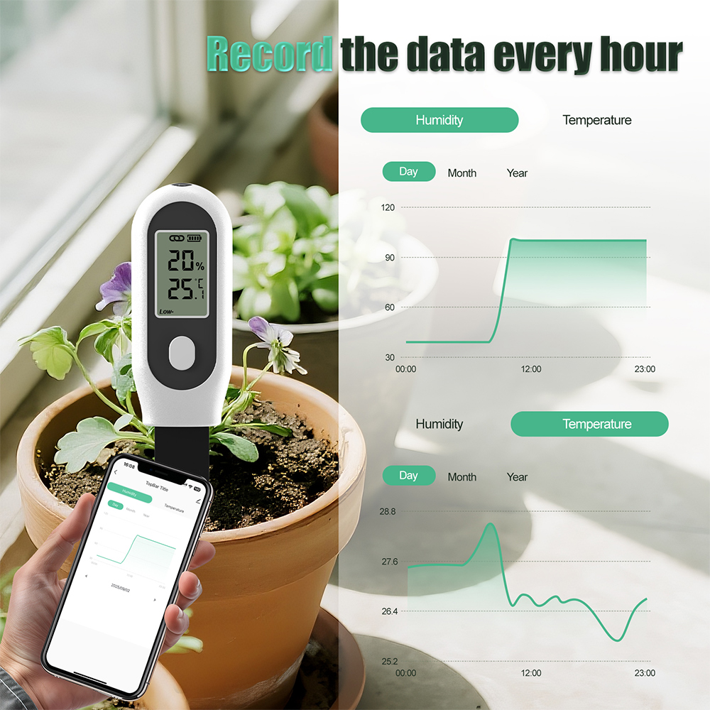 Tuya Zigbee 3 in 1 Soil Temper - Smart Garden Home Assistant recensione e prezzo