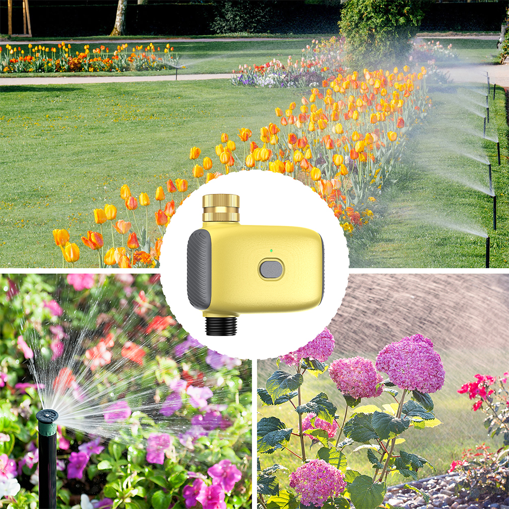 Wholesale Smart Digital  Water - Smart Garden Water recensione e prezzo