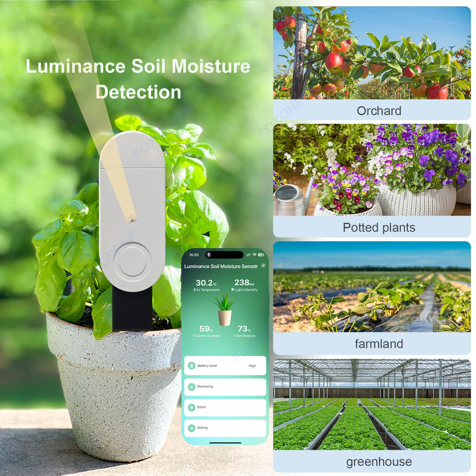 Zigbee 3.0 Smart Soil Tester L - Smart Garden Home Assistant recensione e prezzo
