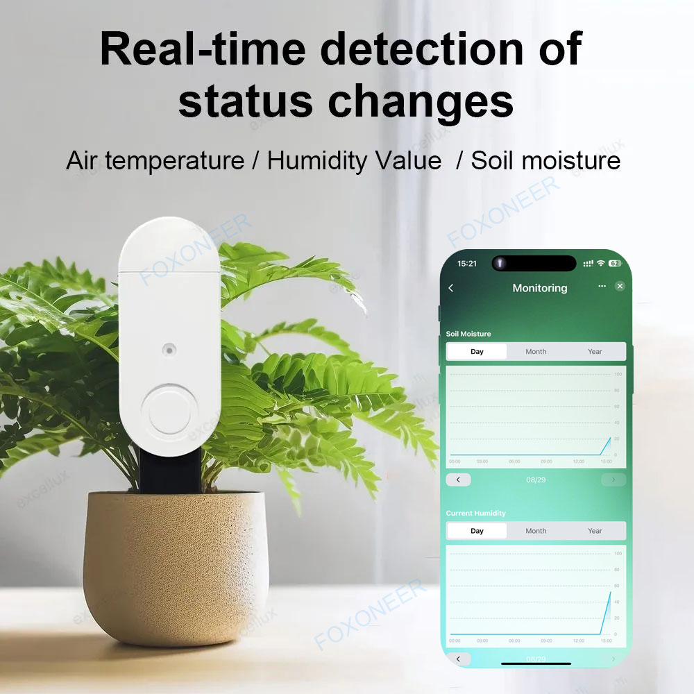Zigbee 3.0 Smart Soil Tester L - Smart Garden Home Assistant recensione e prezzo